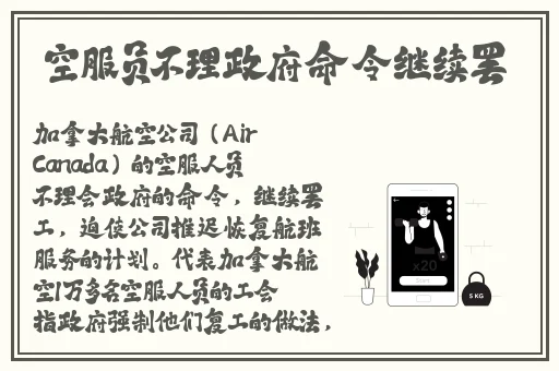 免费B站推广网站入口
